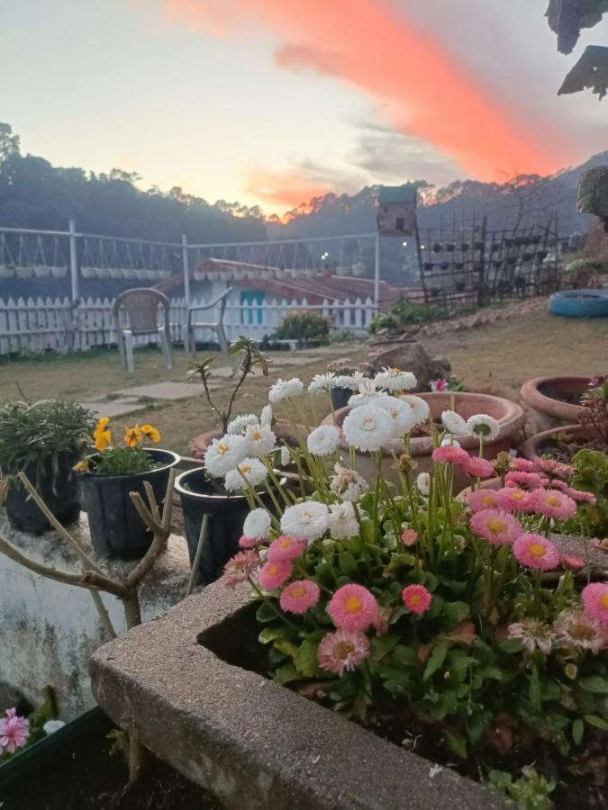 Mohraj Home Stay Bhowali Exteriér fotografie